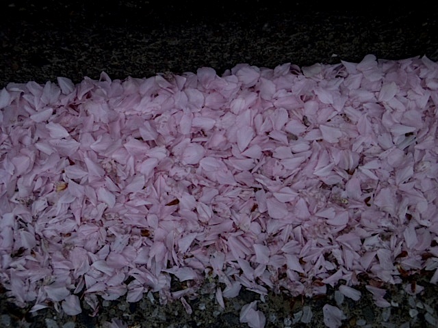 120426_131428.jpg