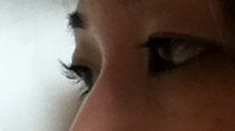 eyes2.JPG