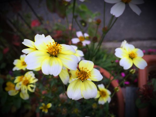 rblog-20151029145804-00.jpg