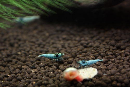 20140929c.JPG