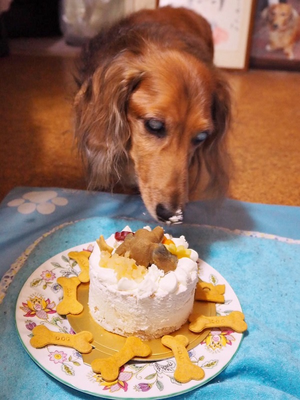 Riku's cake1.jpg