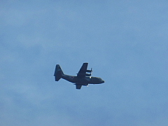 conv0263.JPG