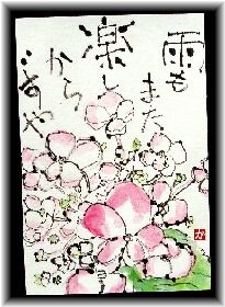 紫陽花　１