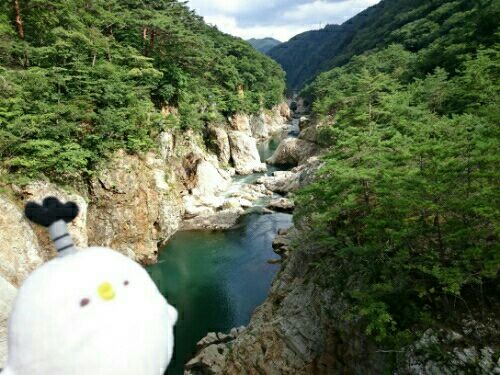rblog-20160904203735-01.jpg