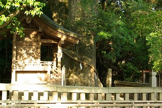 izanagi 026.jpg