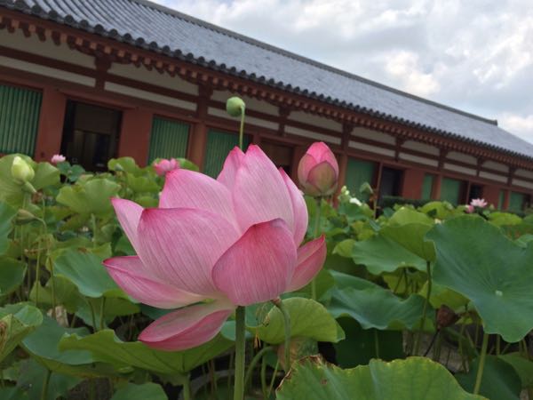 rblog-20160722161842-03.jpg