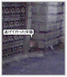 20130127-1
