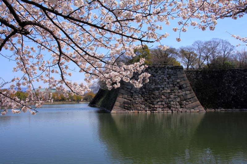 大阪城の桜_001.jpg