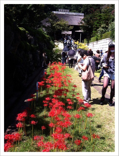 西方寺の参道