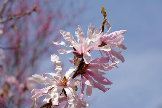 2016 03 31_2317.jpg
