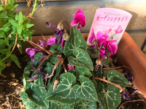 rblog-20180324203515-06.jpg