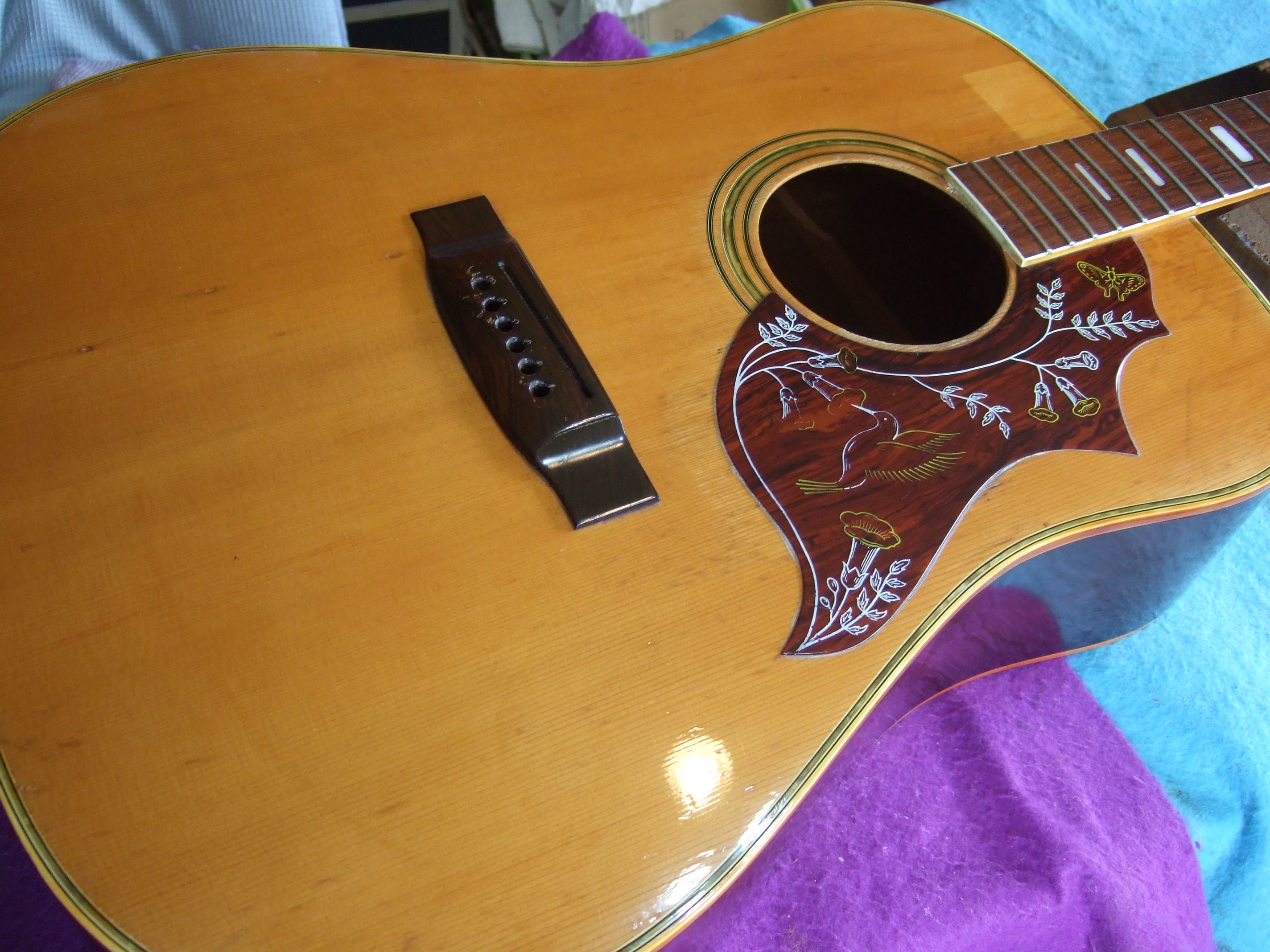 ◇Kansas KW150 アコースチックギター | 青春のギターリペア