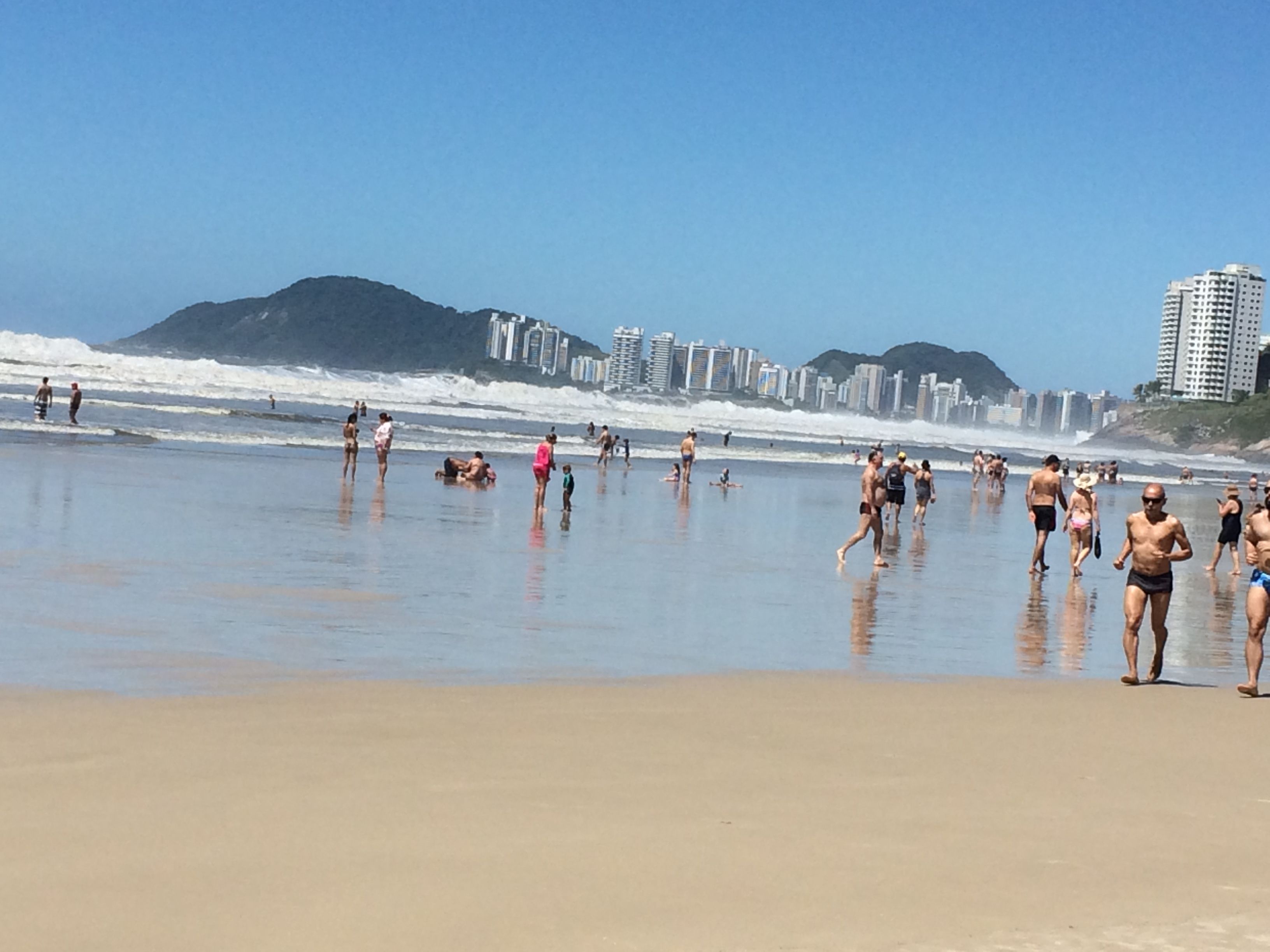 ブラジルの食べ物 鳥 そして海 吉田屋の園芸ブログ 楽天ブログ