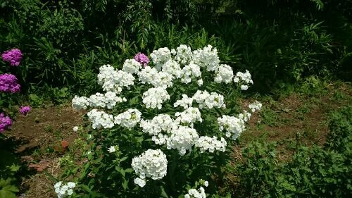 rblog-20170720084209-04.jpg