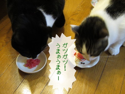 20130314104935_w_400_h_300_8737594.jpg