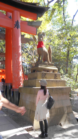 fusimi1.JPG