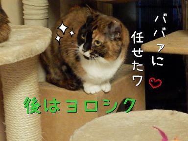 おまかせ.JPG