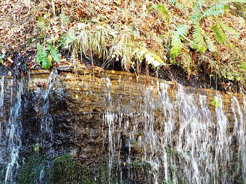 10-29 siraitonotaki-115-b.jpg