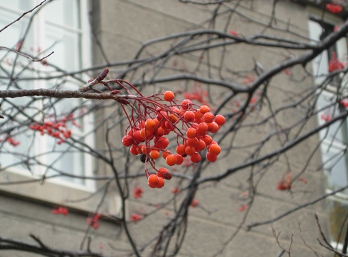 DSCN2863.JPG