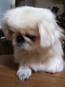 20130214-2.jpg