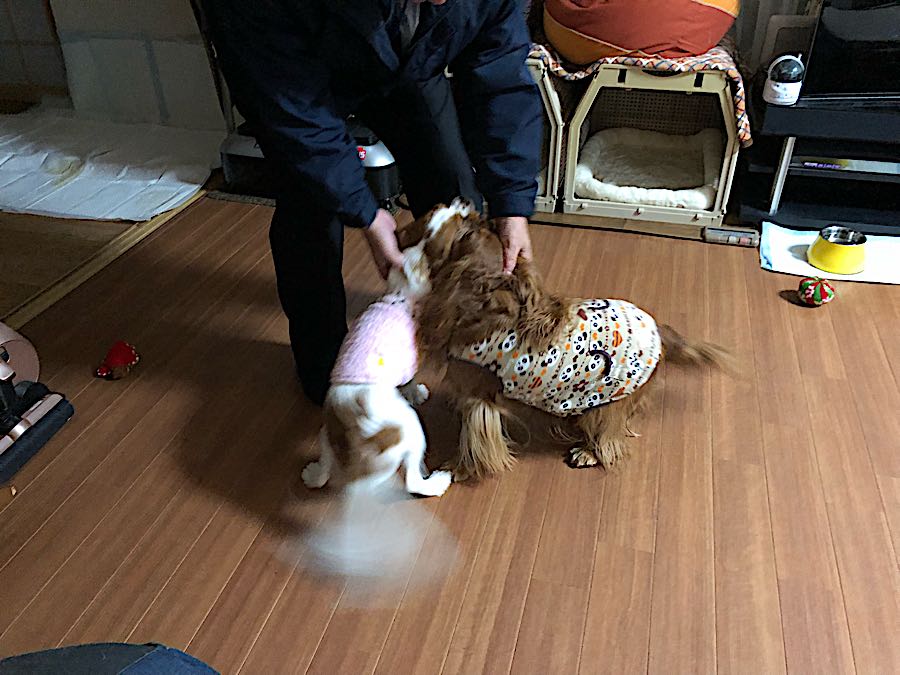 rblog-20181114224306-03.jpg