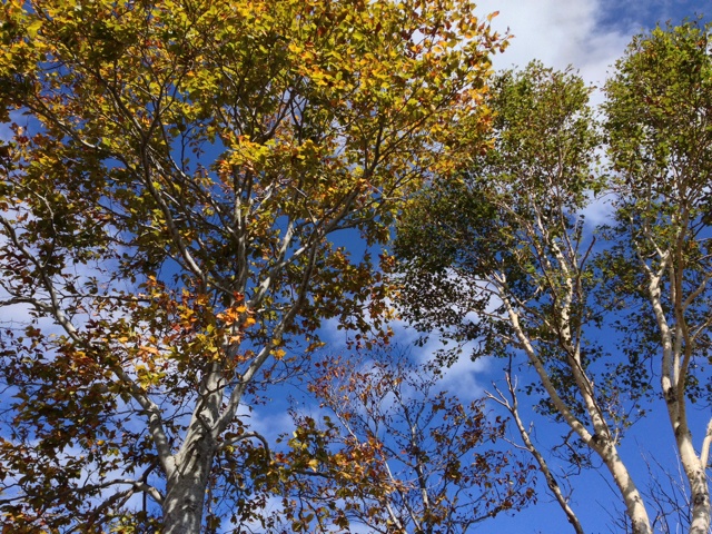 rblog-20131018235504-01.jpg