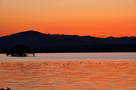 夕陽２