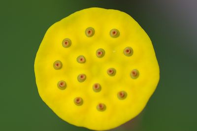 0626404.jpg