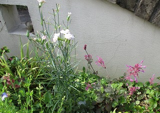 IMG_6177ss.jpg