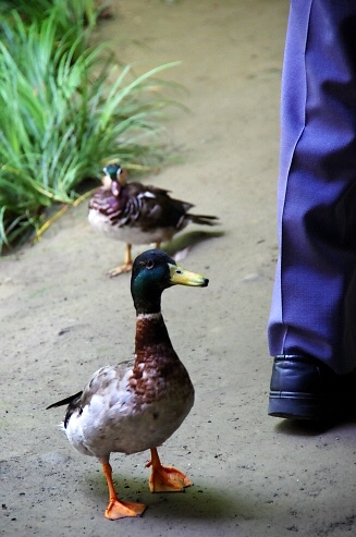 139.花鳥園グループと言えば