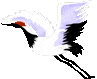 koumori