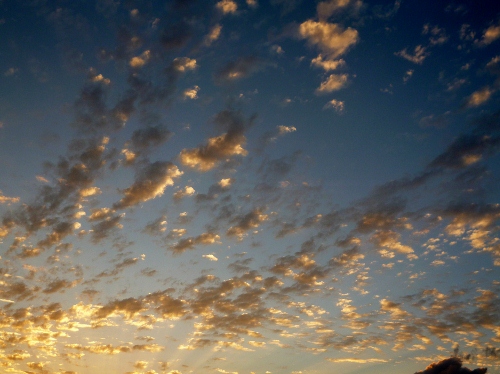 005 (500x374).jpg