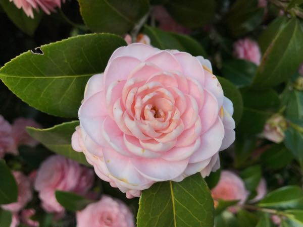 rblog-20180408180729-04.jpg