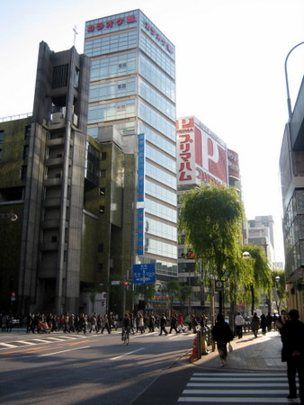 銀座の柳