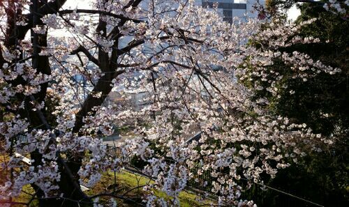 rblog-20170404221633-04.jpg