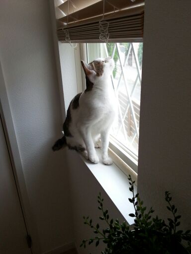 rblog-20140623230412-03.jpg