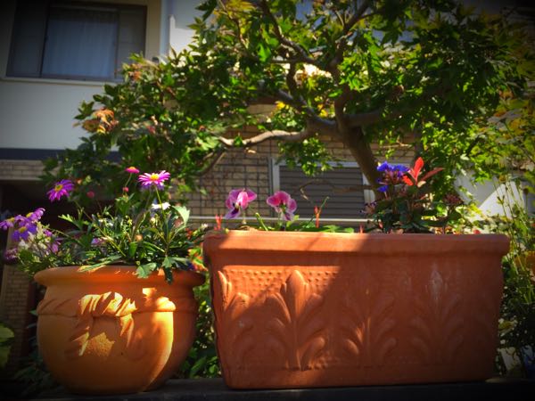 rblog-20151025172611-05.jpg