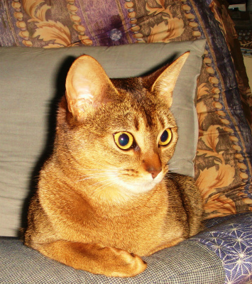 DSC08039.jpg