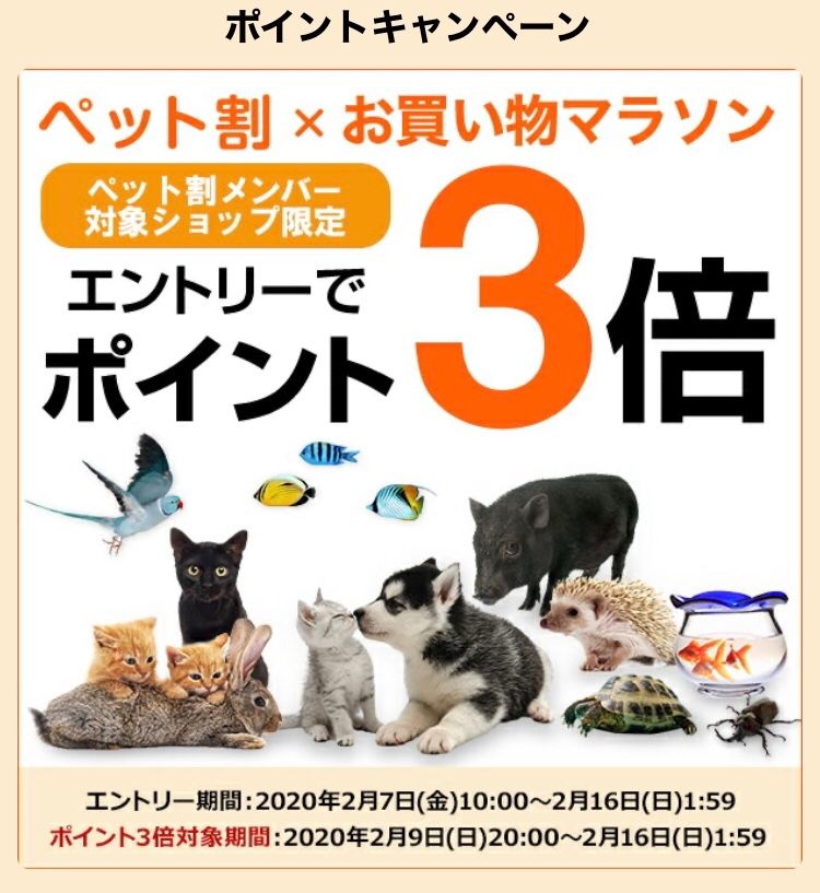お得情報 ペットを飼ってる方必見 楽天ペット割を最近知りました カウンセリングルームを起業した薬剤師 カウンセラーのブログ 楽天ブログ