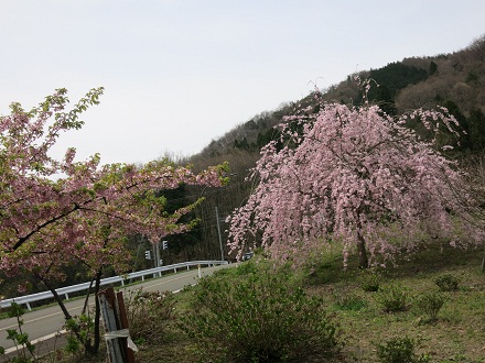 IMG_5980.jpg