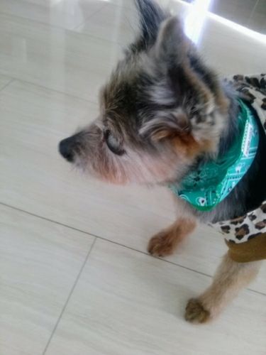rblog-20180519152823-02.jpg