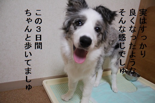 良くなった