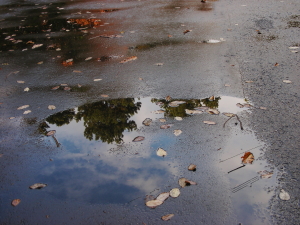 2015-10-24mizutamari (1).JPG