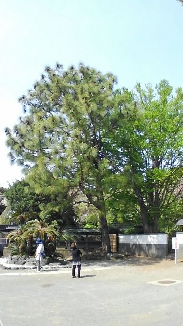 rblog-20180413145932-02.jpg