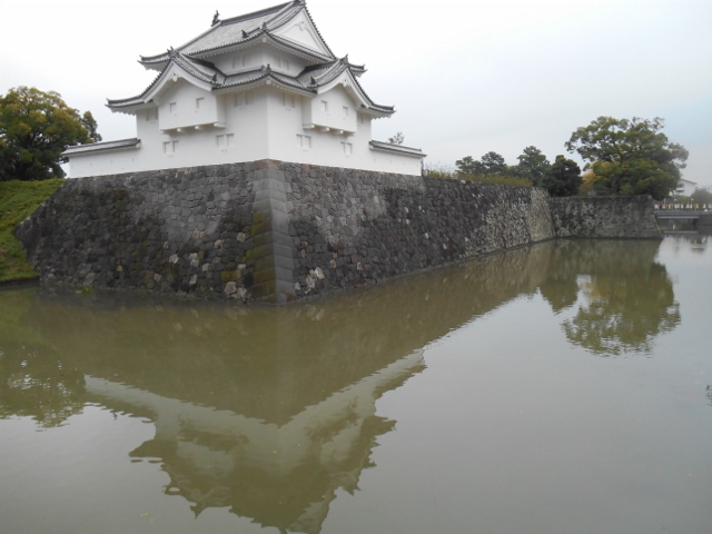 005 (640x480).jpg