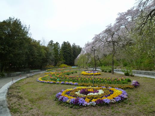 4-13-半田山植物園 033.JPG
