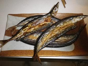 秋刀魚　816.JPG