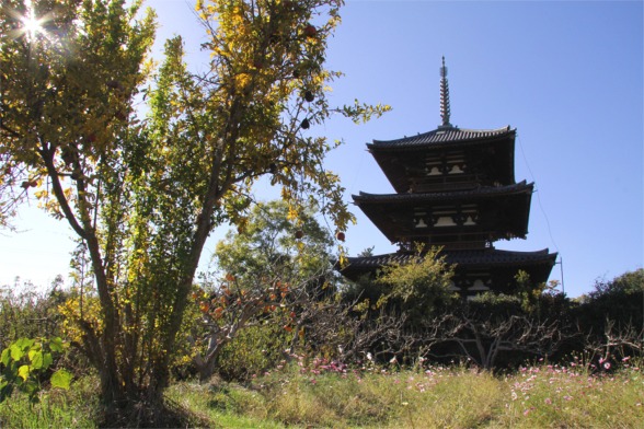 IMG_2820 法起寺.jpg