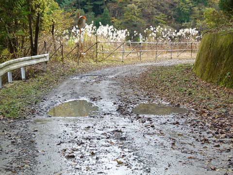 P1120480.JPG