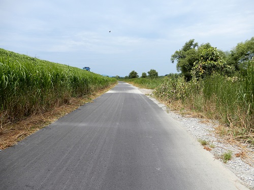 36野洲川河川敷自転車道 (1).JPG